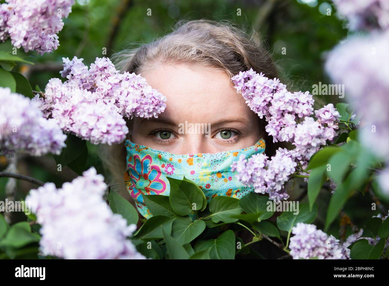 Junge blonde Frau riecht Flieder Baum Blüte durch Gesichtsmaske. Konzeptionelles Bild der Quarantäne und Allergie des Corona-Virus. Stockfoto