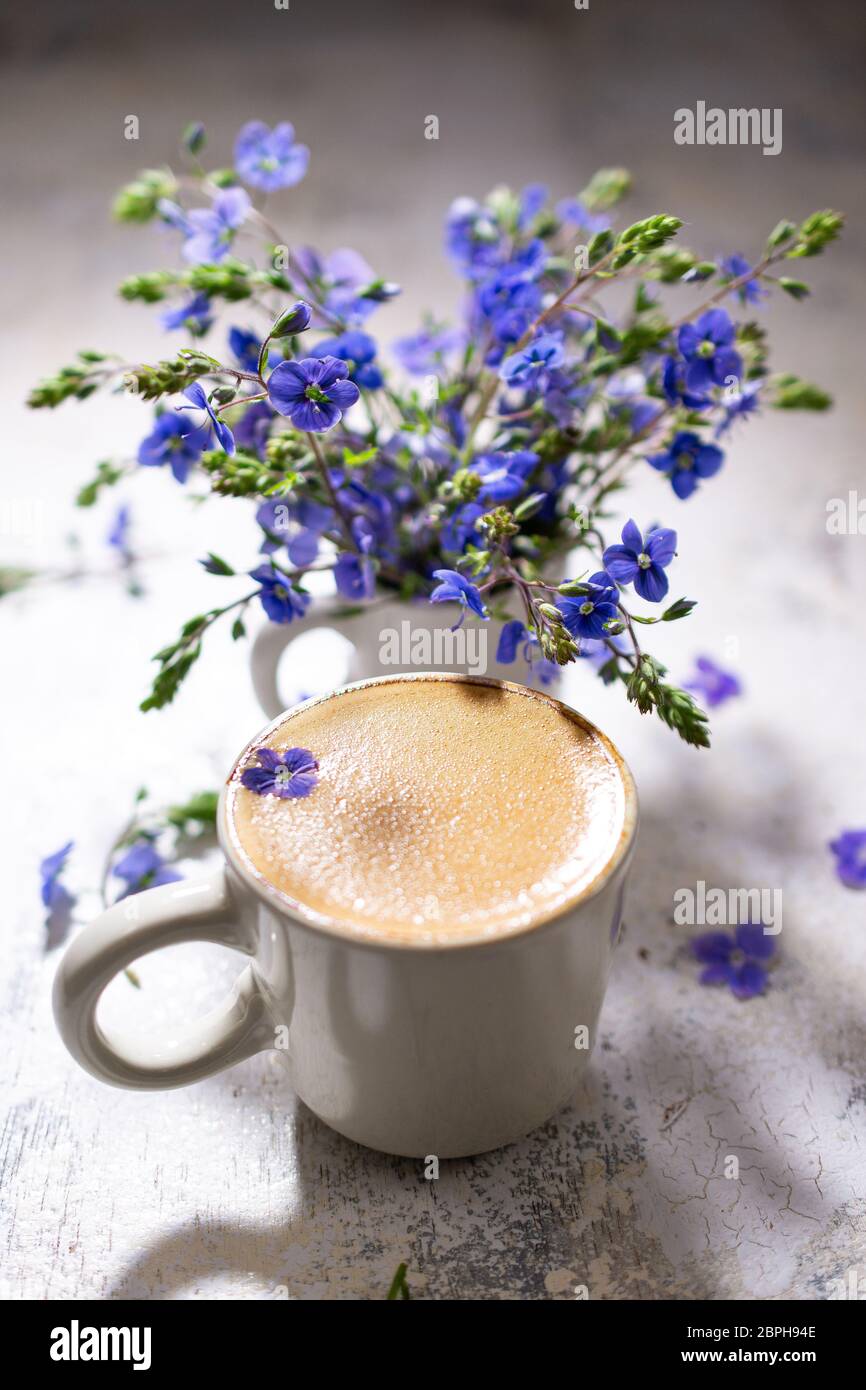 Aromatischer Kaffee mit Blumen.Espresso und Wildtiere.frisches heißes Getränk.gesundes Essen. Stockfoto