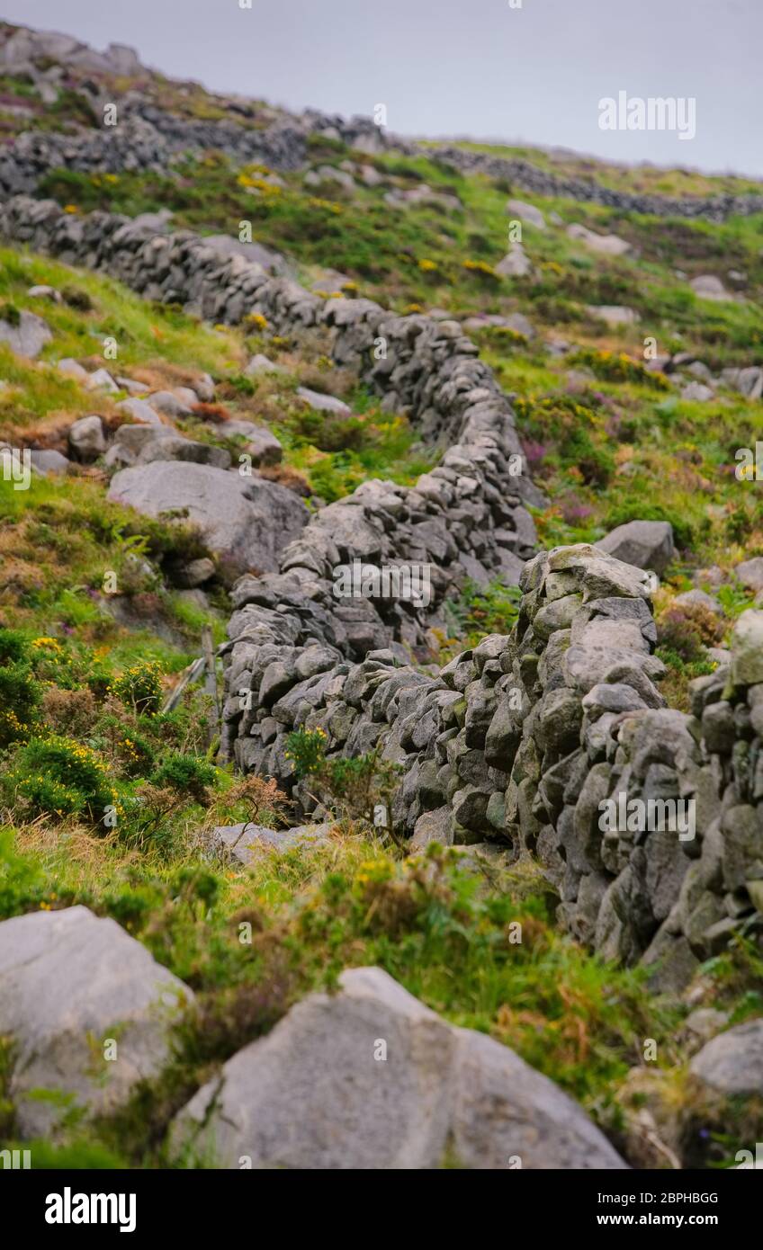 Vertikale Aufnahme der Felswand bei Kilkeel in der Grafschaft Down Nordirland Stockfoto