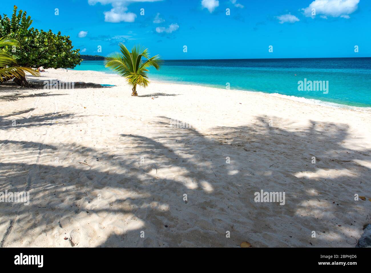 Grand Anse Strand in Grenada Stockfoto