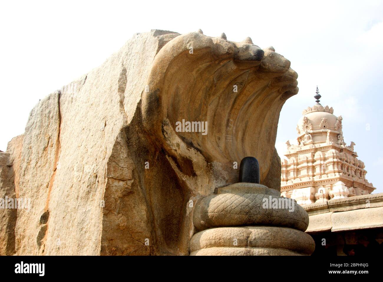 Stein Statue von Nagalingeshwara in Räumlichkeiten der Veerabhadreswara Tempel am Lepakshi, Andhra Pradesh, Indien, Asien Stockfoto