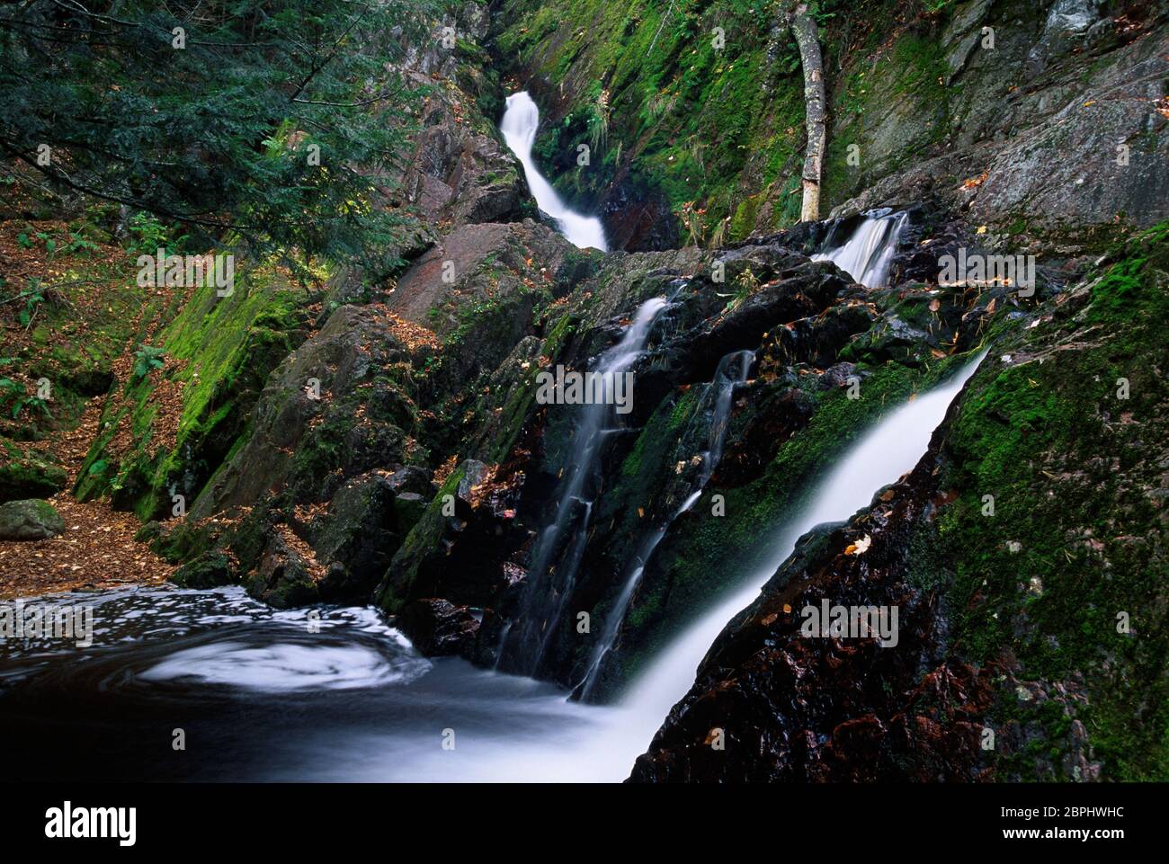 Morgan Falls, Chequamegon-Nicolet National Forest, Wisconsin Stockfoto