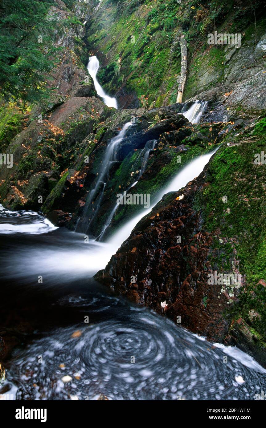 Morgan Falls, Chequamegon-Nicolet National Forest, Wisconsin Stockfoto