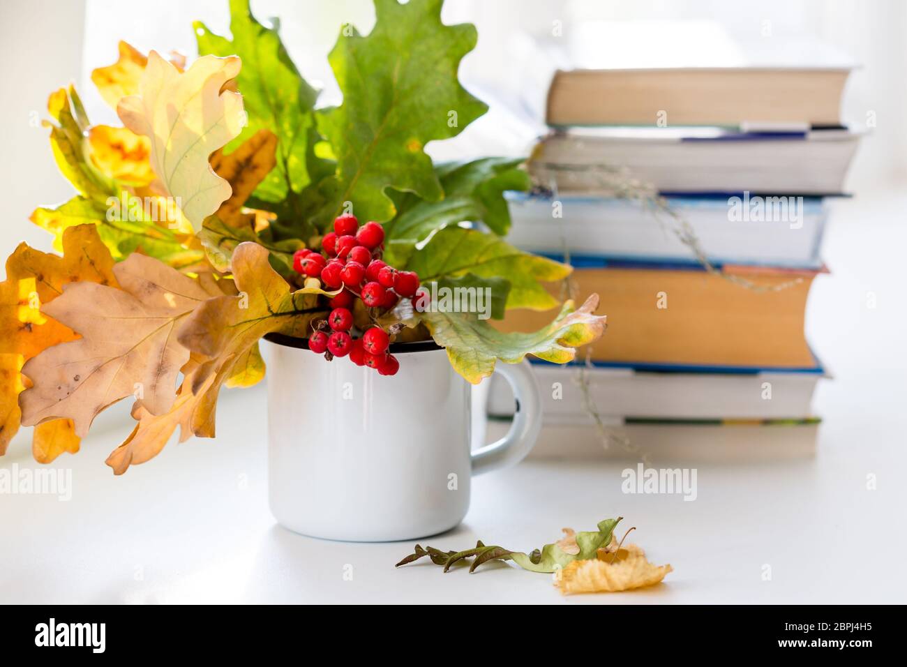 Selektiver Fokus. Herbstkomposition mit Bücherstapel und Bouquet von gelben Herbstblättern und Zweige von Bergasche in der Tasse. Herbstsaison Konzept Stockfoto
