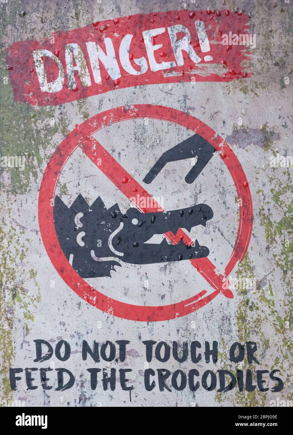 Vorsicht vor den Krokodilen Zeichen, nicht berühren Stockfoto