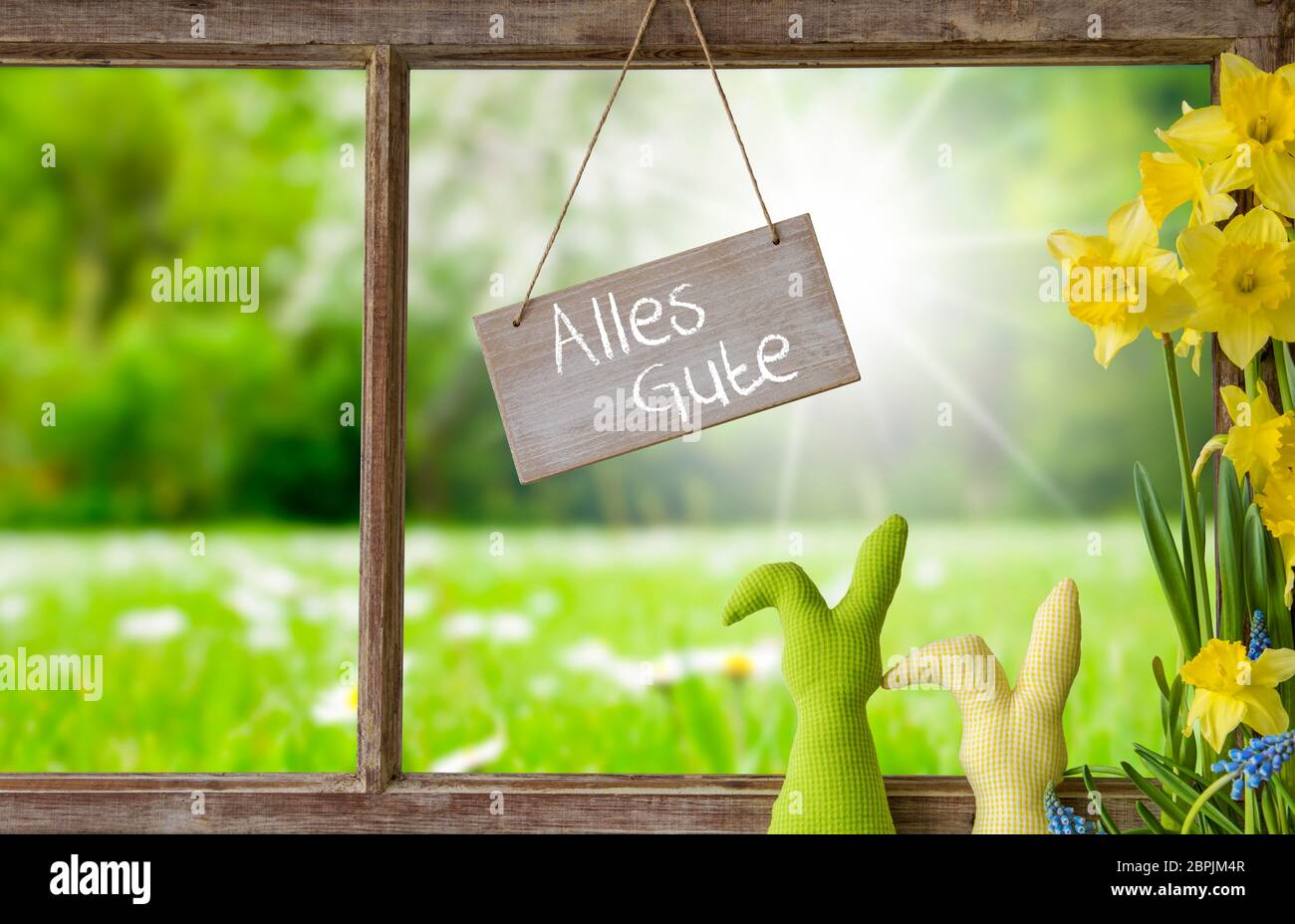 Schild Mit Deutschem Text Alles Gute Bedeutet Beste Wünsche. Fensterrahmen Mit Blick Auf Die Schöne Sonnige Grüne Wiese. Osterhase Und Narzisse Vorne Stockfoto