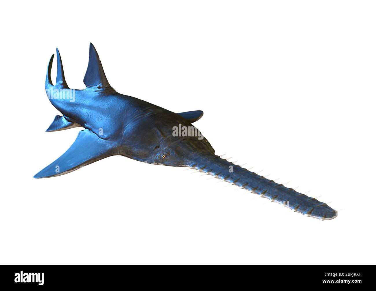 3DRendering eines Onchopristis, eine Gattung von Ausgestorbenen