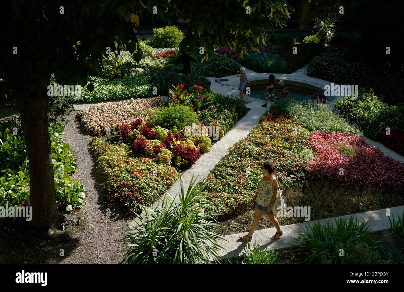 Der Garten in Espace Van Gogh Kulturzentrum, ehemaliges Krankenhaus, Arles, Bouches-du-Rhone, Provence-Alpes-Cote d'Azur.Frankreich Stockfoto