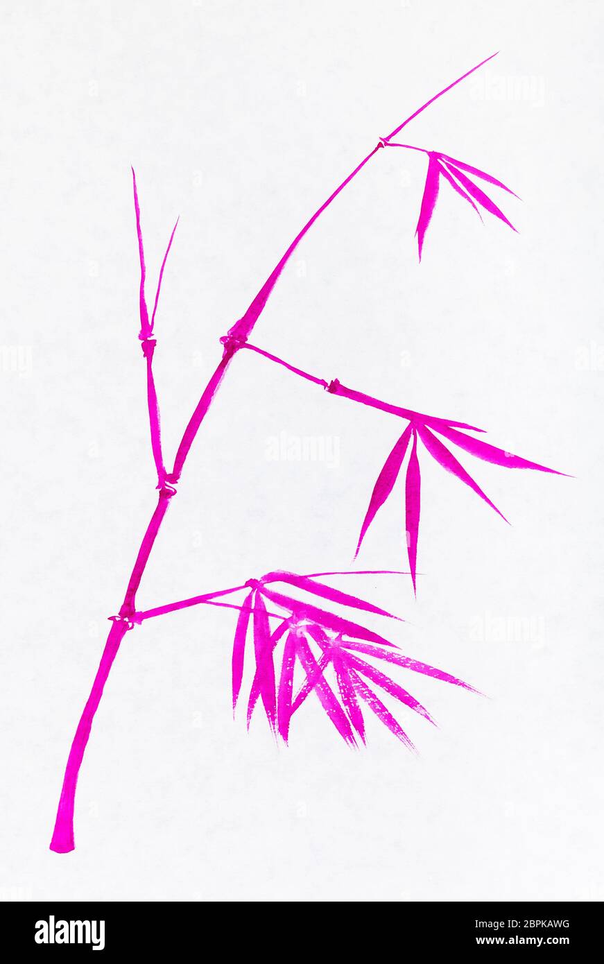 Ausbildung Zeichnung in Sumi-e (suibokuga) Stil-Zweig des Bambus handbemalt von pink Aquarelle auf weißem Papier Stockfoto
