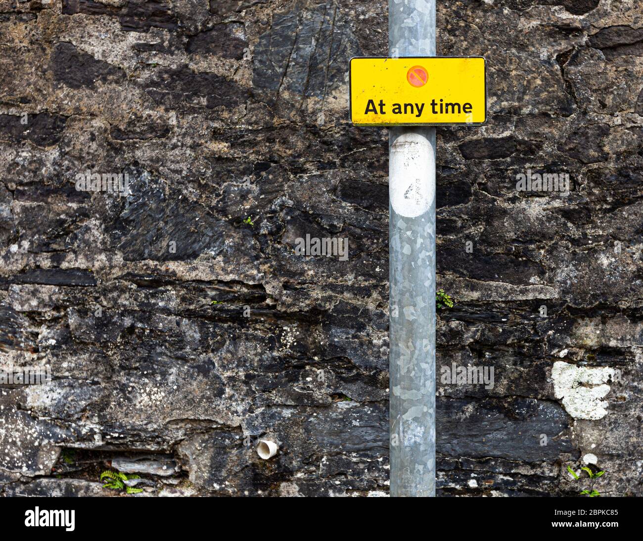 „jederzeit“. Kleines „No Waiting“-Schild auf dem Laternenpfahl in Oban, Schottland Stockfoto