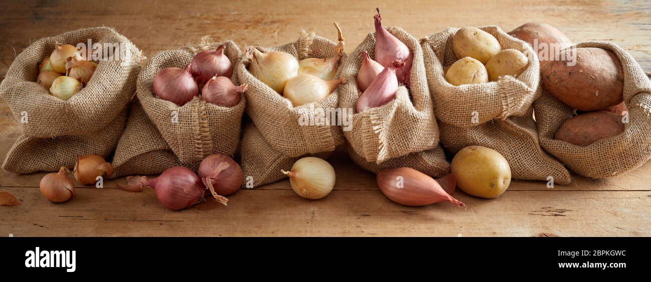 Reihe offener Säcke mit verschiedenen Arten von Zwiebeln und Kartoffeln, frisch auf Holzboden Hintergrund im rustikalen Ernte Konzept Banner, von hohen Winkel gesehen Stockfoto