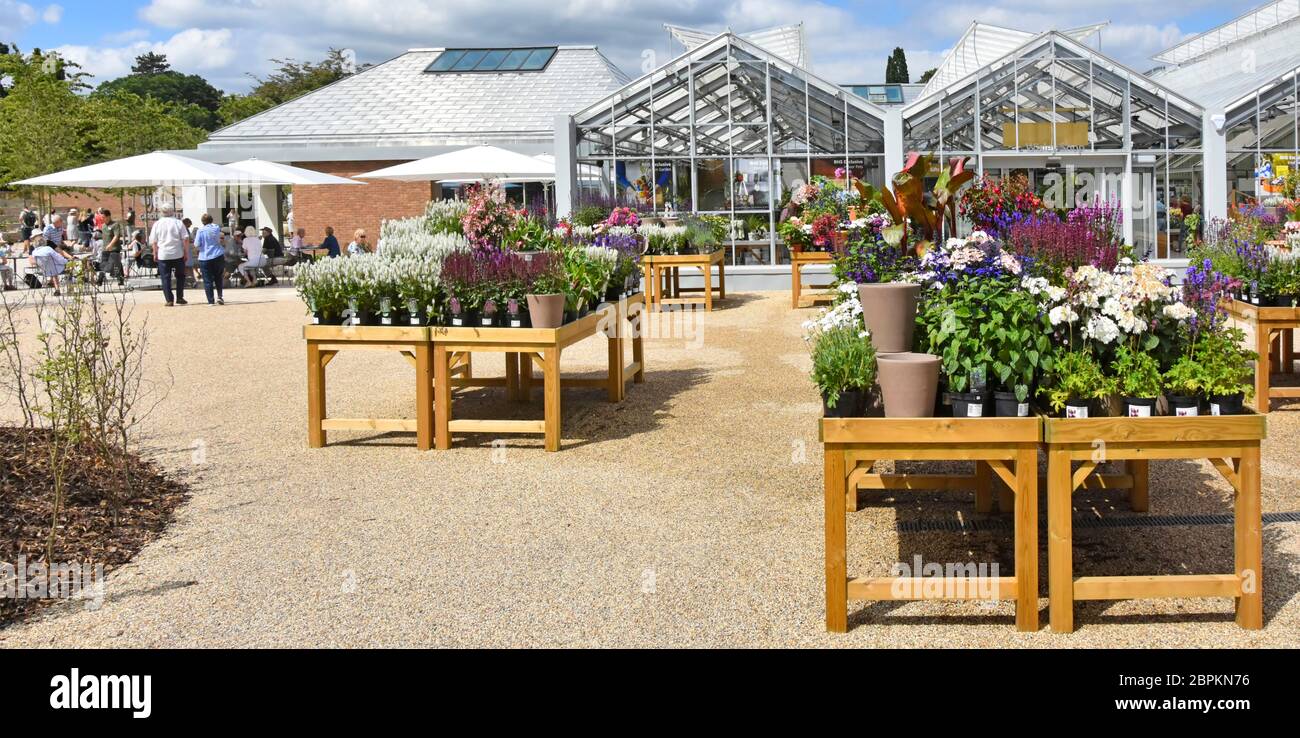 RHS Wisley Pflanzen zum Verkauf im Freien modernes Café Gebäude über Sonnenschirm Schatten & Outdoor-Tische Royal Horticultural Society Gardens Surrey England UK Stockfoto