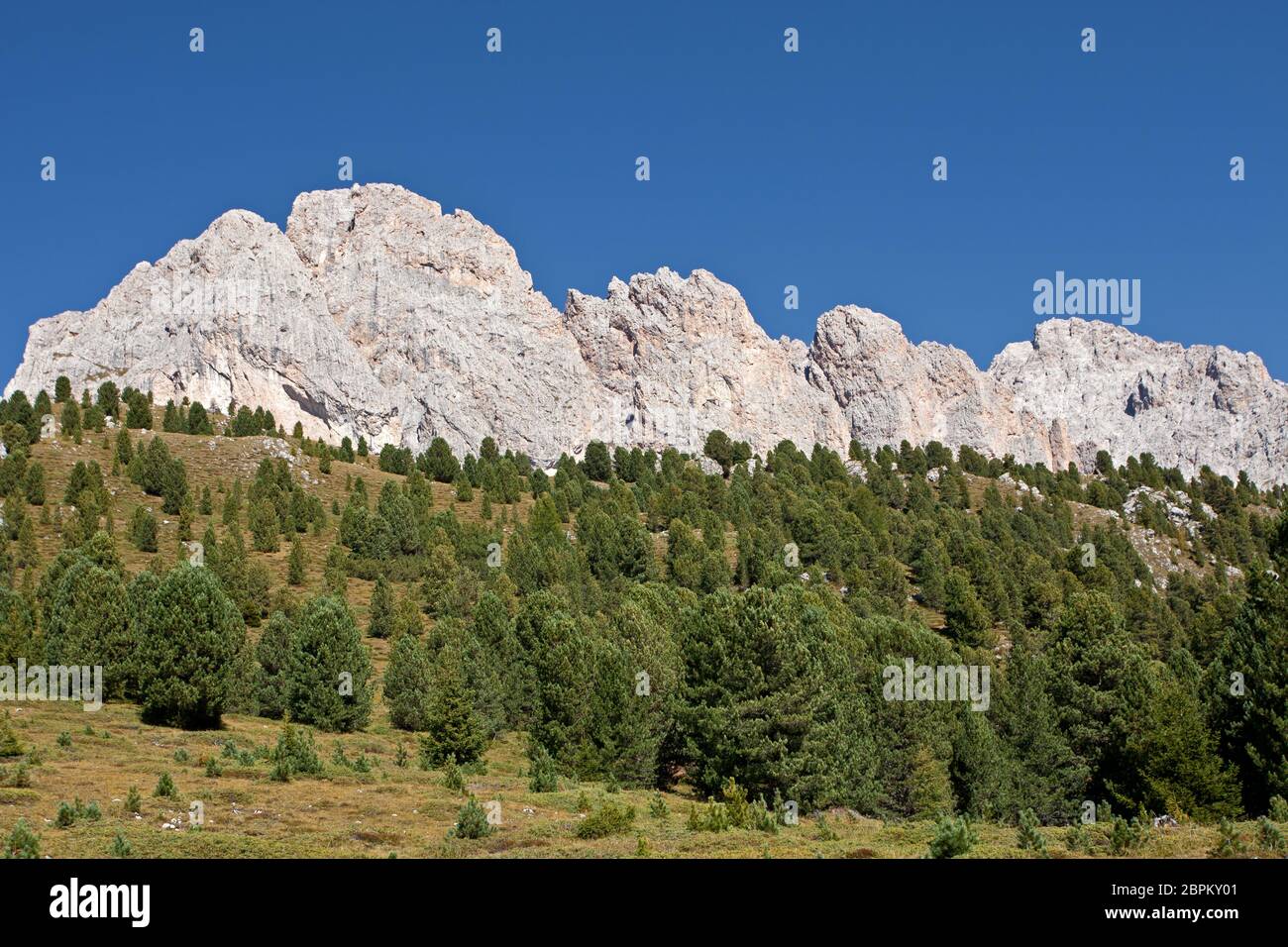 Naturpark Puez-Geisler Stockfoto