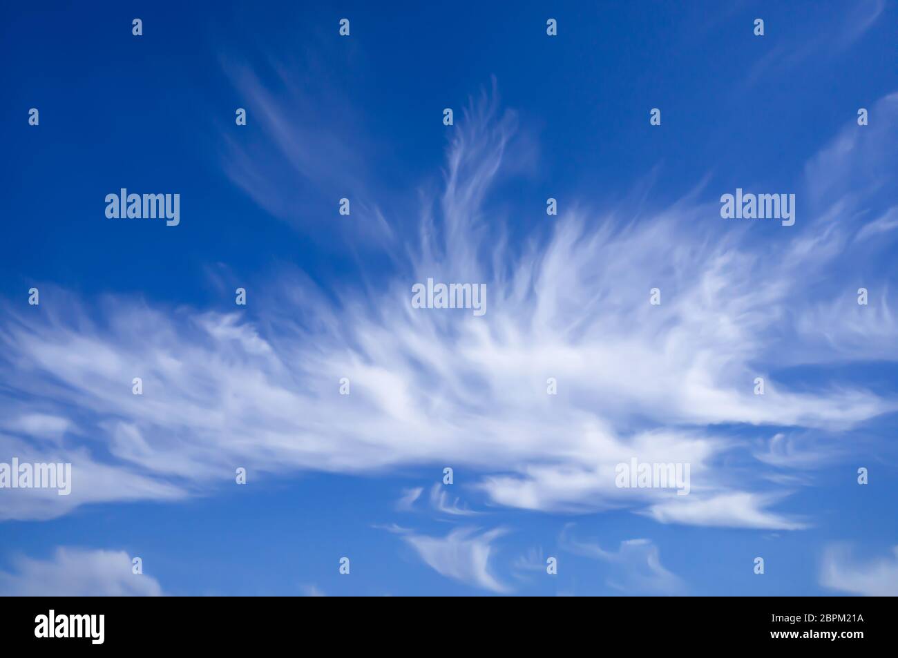 Blauer, sonniger Sommerhimmel, federförmige Wolken, atmosphärisches Phänomen. Landschaftsformen. Stockfoto
