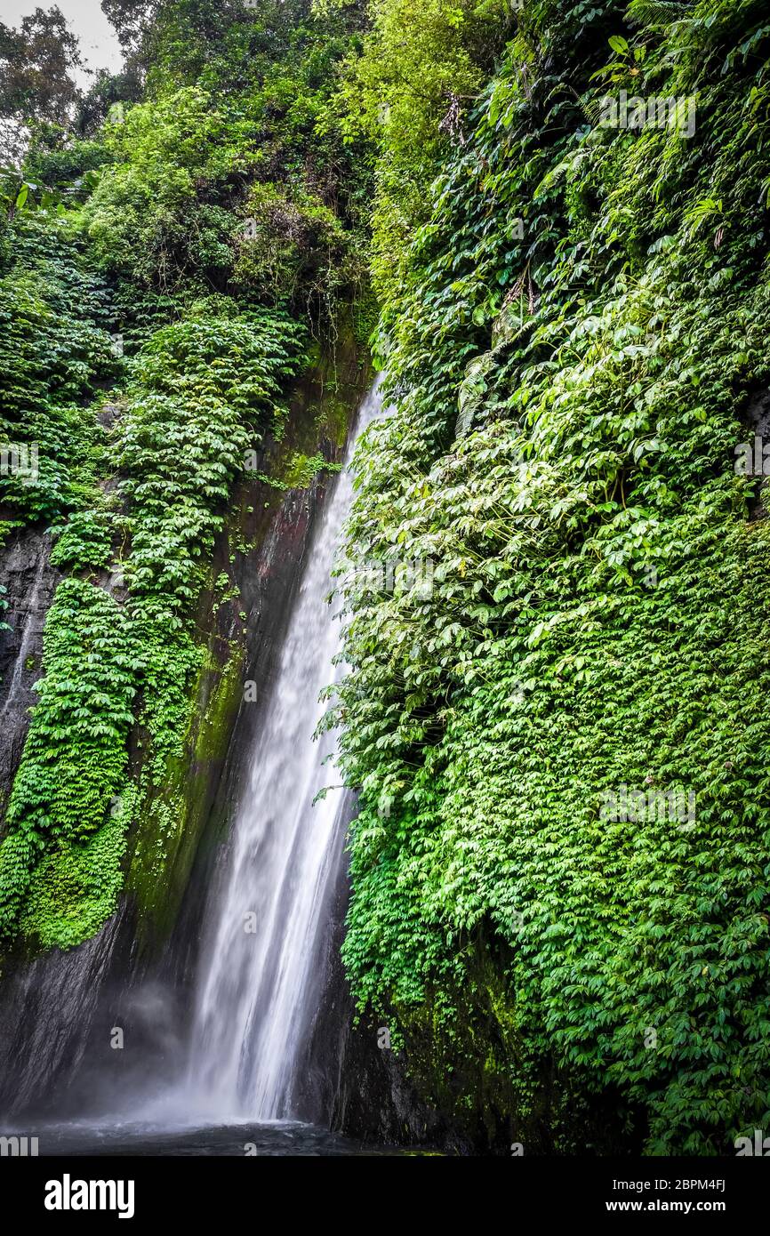 Rote Koralle Wasserfall in Munduk, Bali, Indonesien Stockfoto