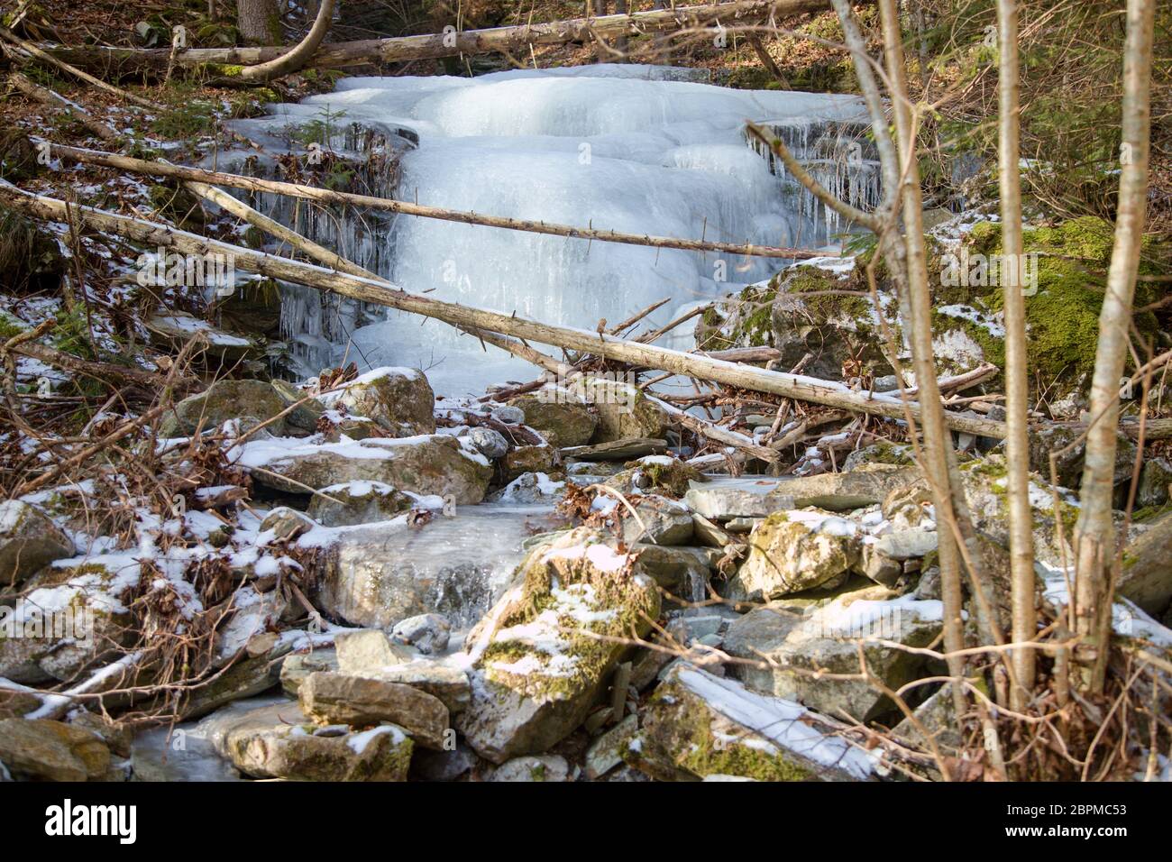 eisbruch im Wald Stockfoto