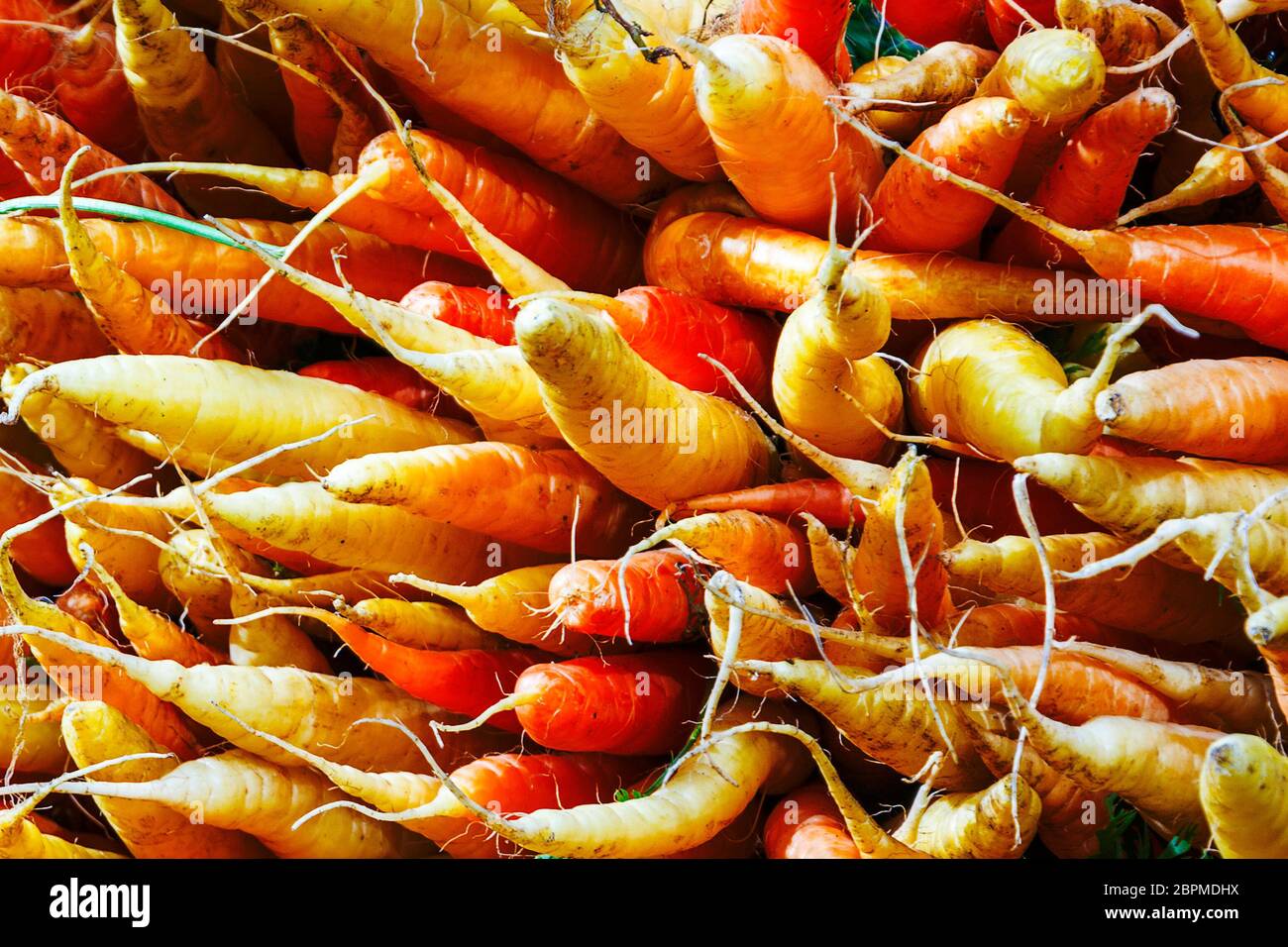 Bündel von Bio Karotten auf einem Stall eines städtischen Bauernmarkt Stockfoto