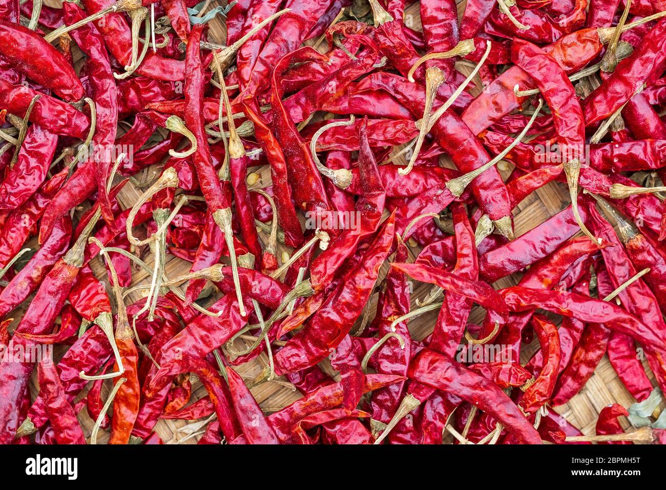 Nahaufnahme Stapel von luftgetrockneten roten Chili-Paprika Hintergrund. Scharf und würzig trockene rote Chilischoten. Stockfoto