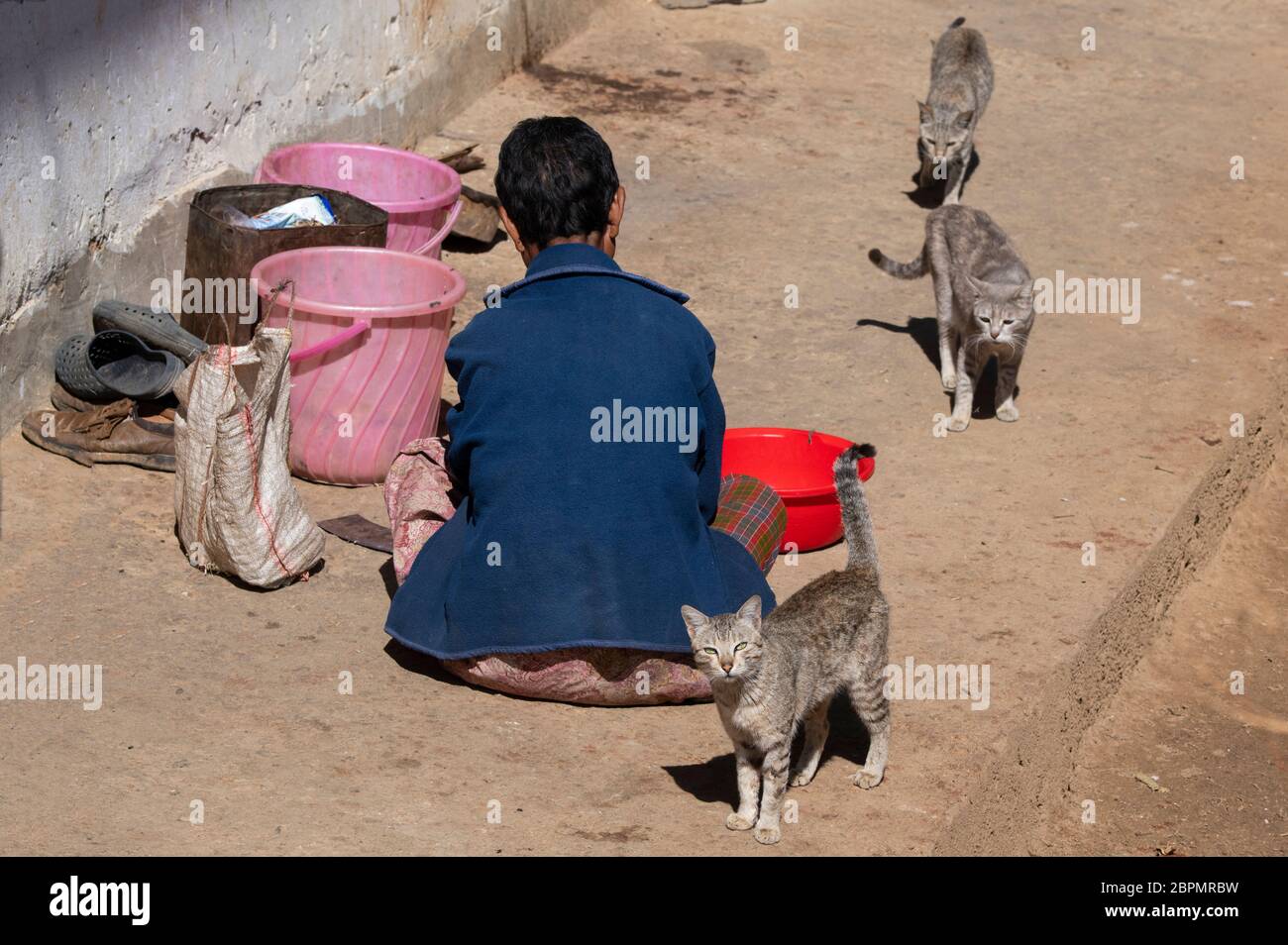 Bhutan, Punakha. Sopsokha. Dorffrau putzt Fische mit Katzen auf. Stockfoto