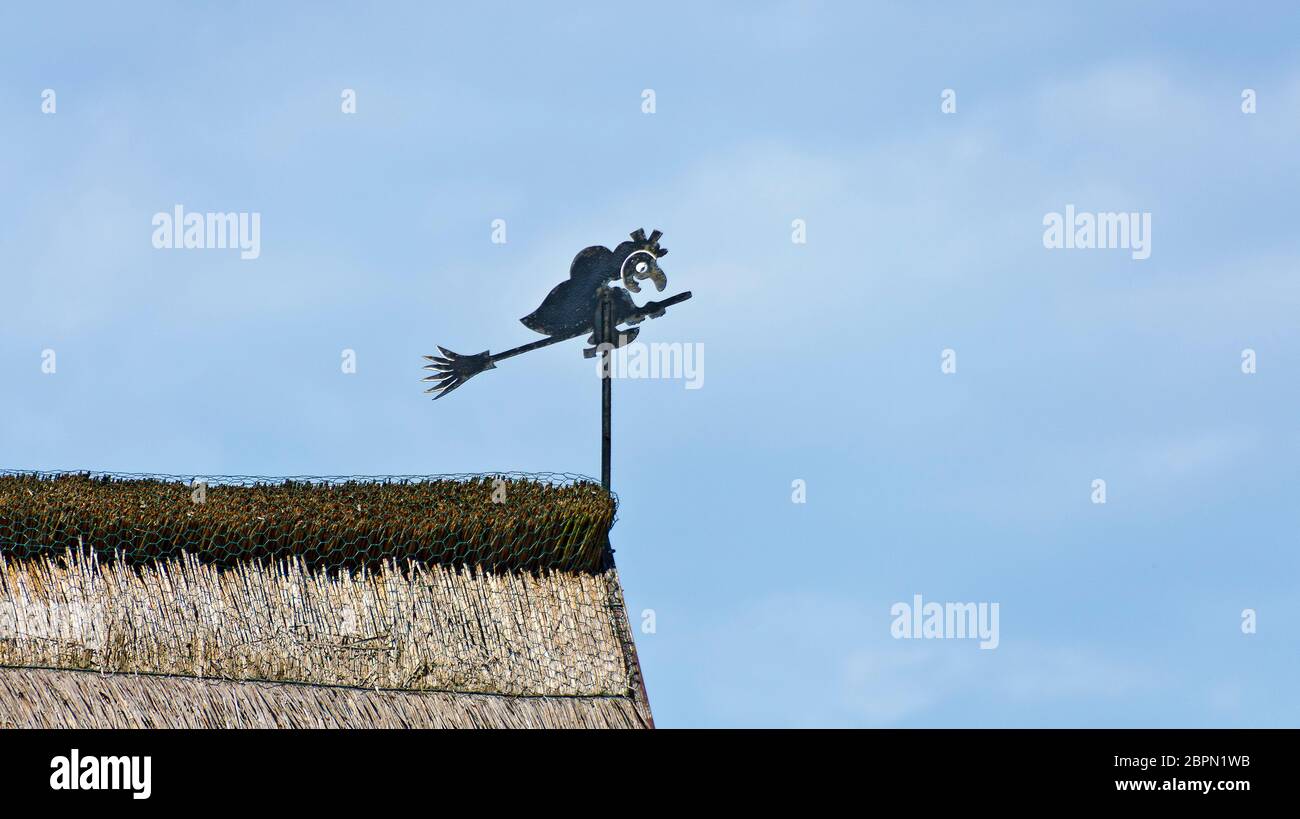 Strohdach mit Windfahne in Form einer Hexe, die auf einem Besen in Zingst reitet Stockfoto