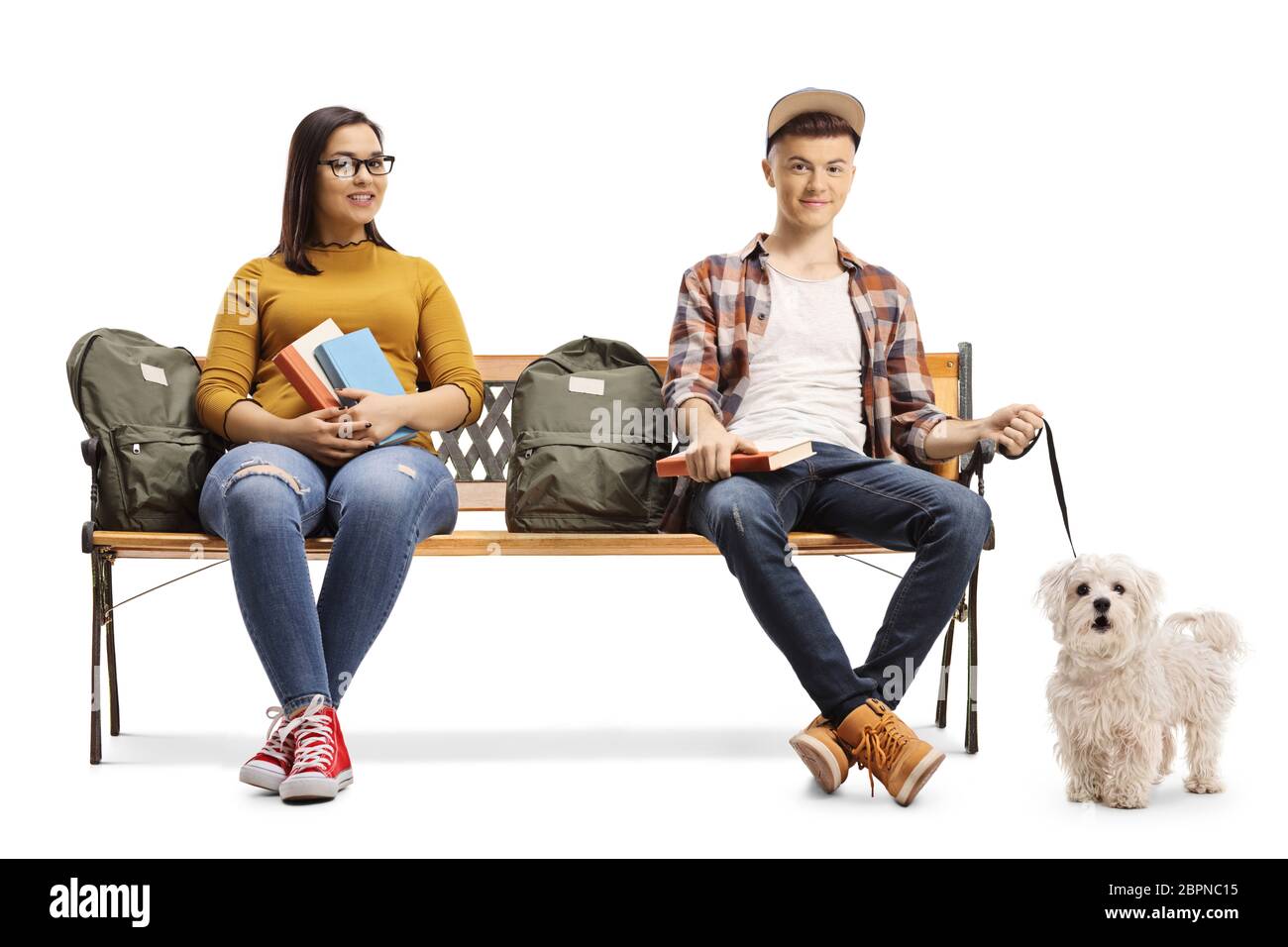 Studenten sitzen auf einer Bank mit einem maltesischen Pudel Hund isoliert auf weißem Hintergrund Stockfoto