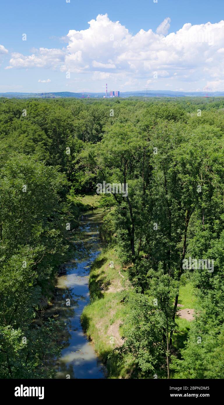 Arialblick über den Auwald am Fluss 'Danube' mit Wasserlauf und dem nicht aktivierten Kernkraftwerk Zwentendorf am Horizont, T Stockfoto