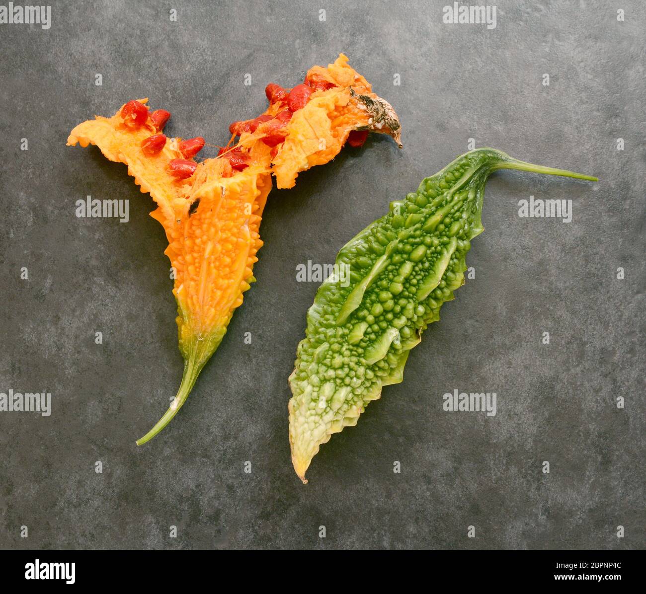 Orangener, überreifer Bitterkürbis, aufgespalten mit roten, klebrigen Samen und einer ganzen grünen Bittermelone - auf schiefergrauem Hintergrund Stockfoto