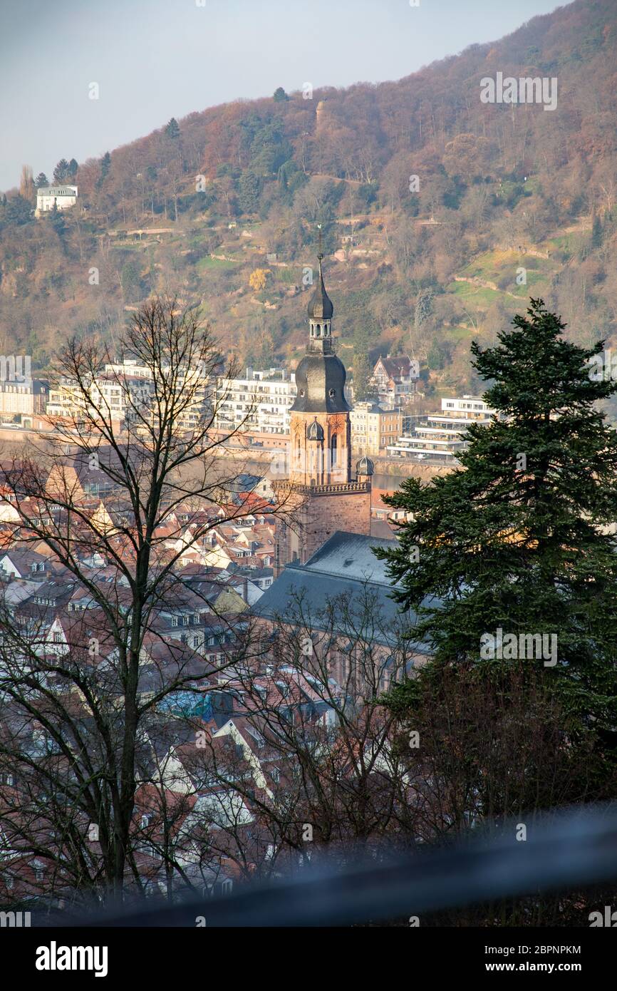 Heidelberg, Deutschland - Kathedrale Turm durch die Bäume Stockfoto