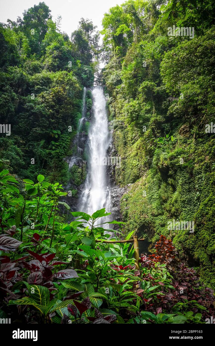 Melanting Wasserfall in Munduk, Bali, Indonesien Stockfoto