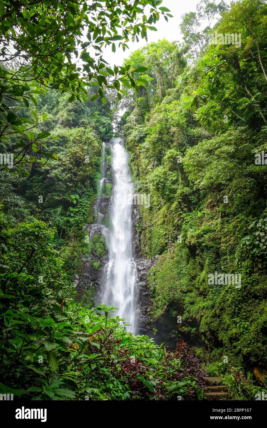 Melanting Wasserfall in Munduk, Bali, Indonesien Stockfoto