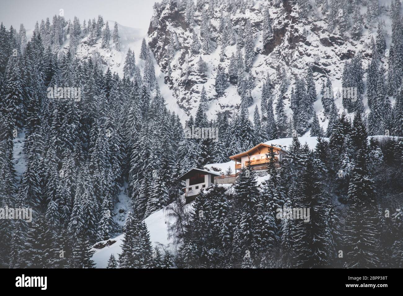 Die Kabine leuchtet der Schnee bedeckt und die misty Tannen Berg an der ersten Licht der Dämmerung Stockfoto