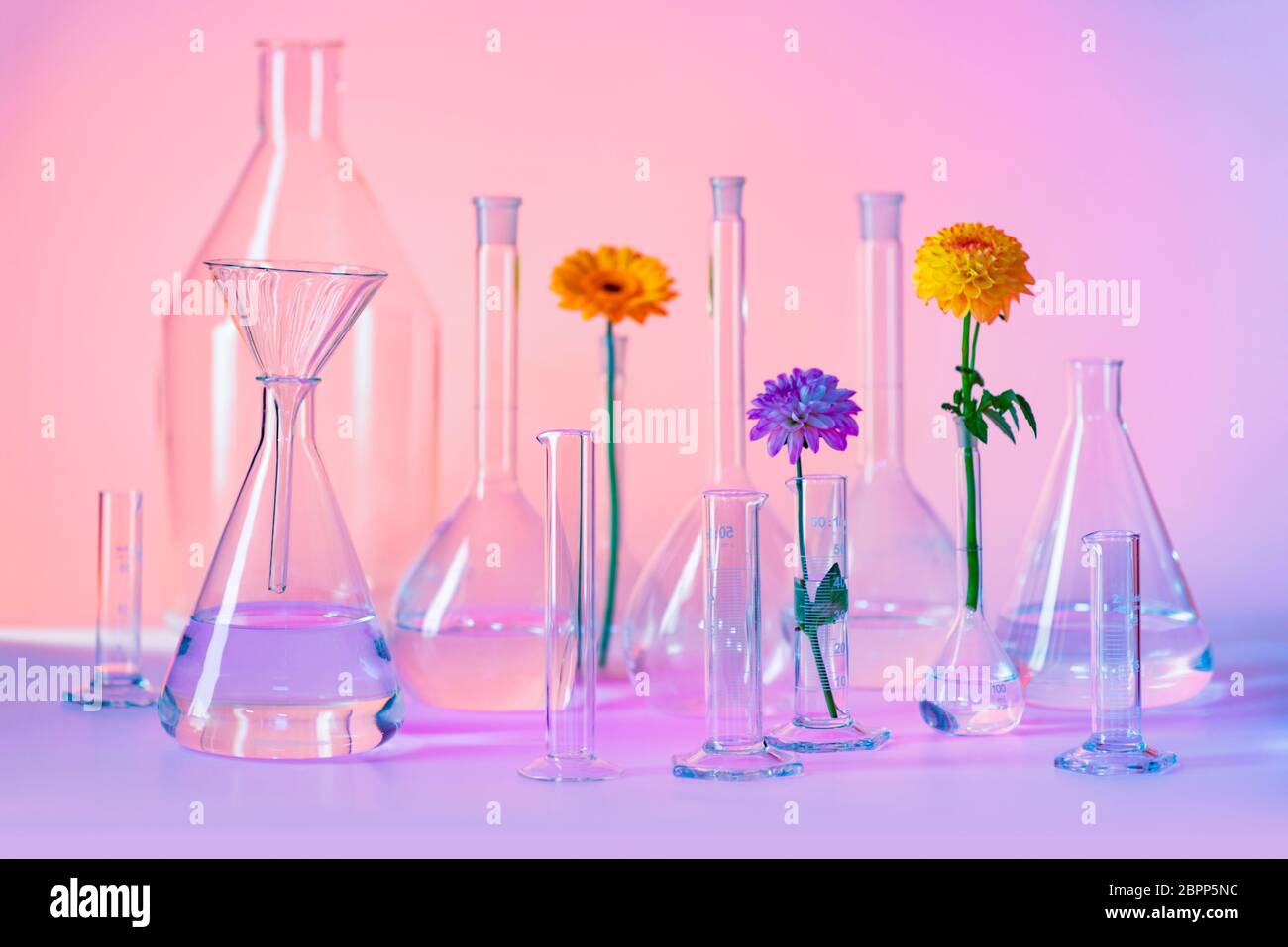 Vielzahl von teilweise ausgefüllte Laborglas einschließlich einige Blütenköpfe Stockfoto