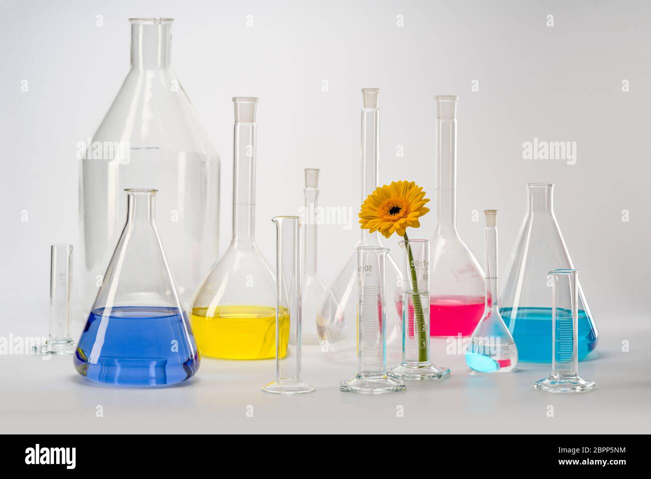 Vielzahl von teilweise ausgefüllte Laborglas einschließlich einer Blüte Stockfoto