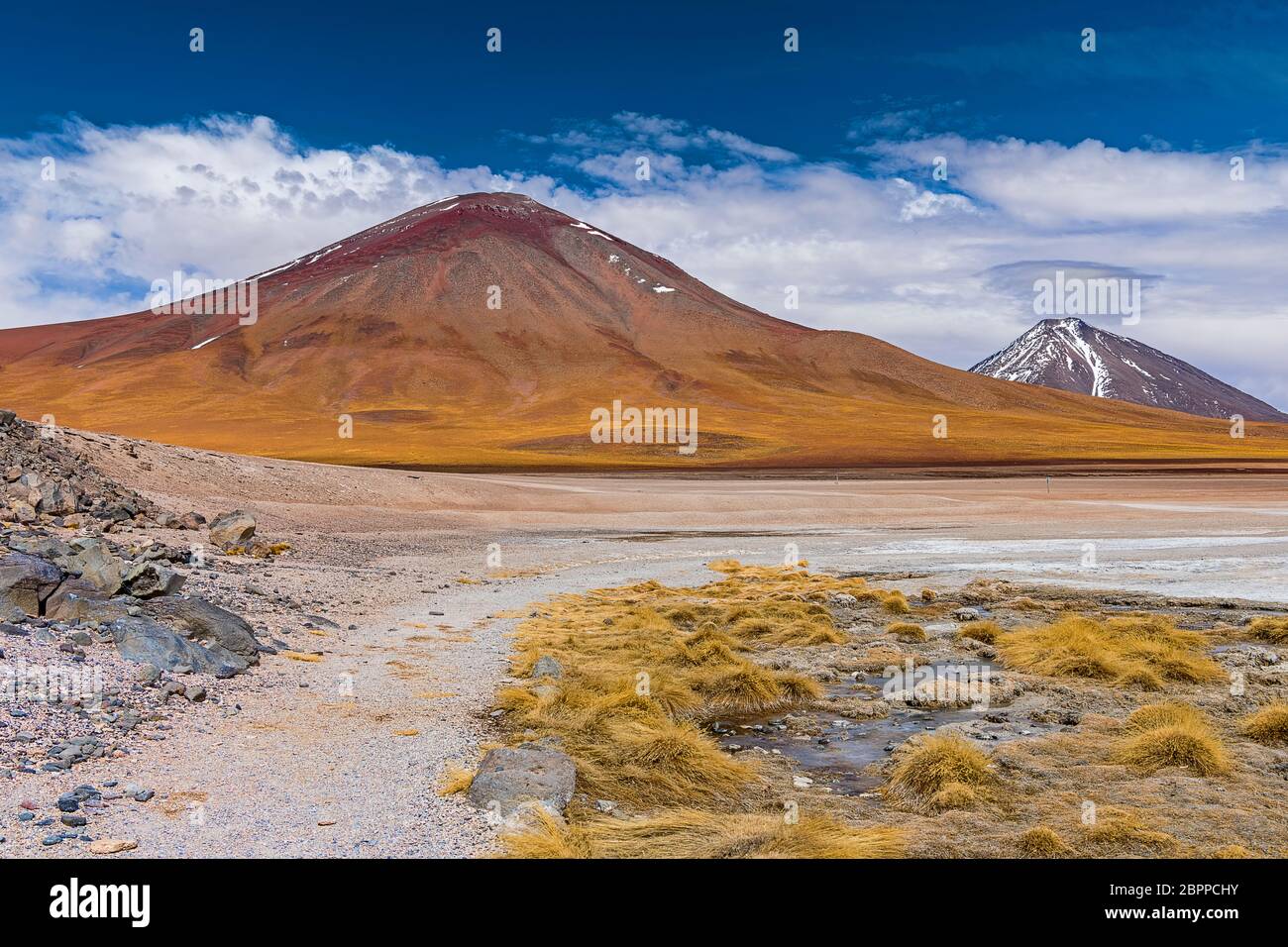 Am Rande der Laguna Blanca, 4.331 m Höhe, Nationalpark Andina Eduardo Abaro, Altiplano, Departamento Potosí, Bolivien 2017-09-04T11:32:17 Stockfoto