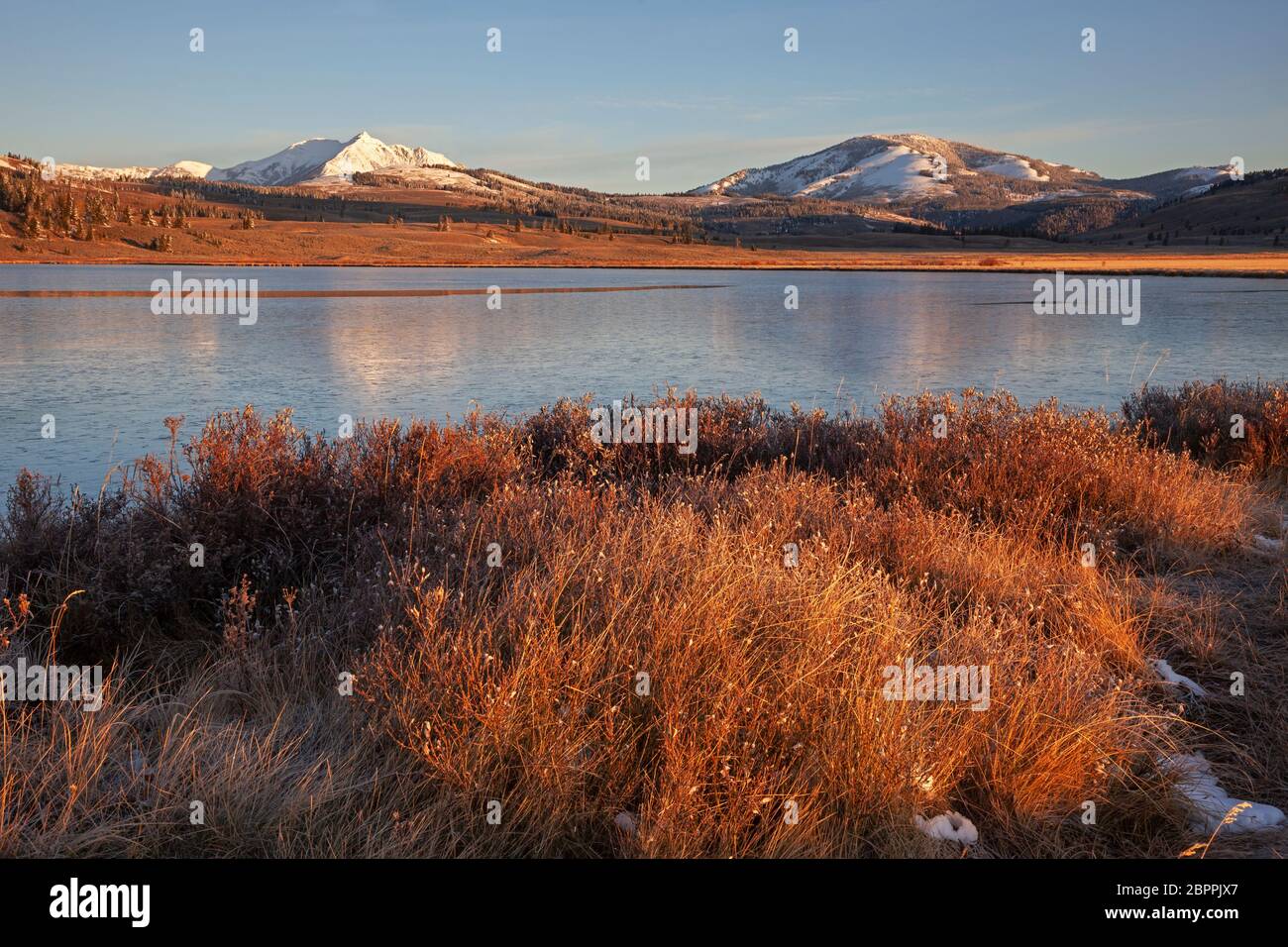 WY04443-00...WYOMING - früh am Morgen am besonders gefrorenen Swan Lake mit der schneebedeckten Gallantin Range im Yellowstone National Park. Stockfoto