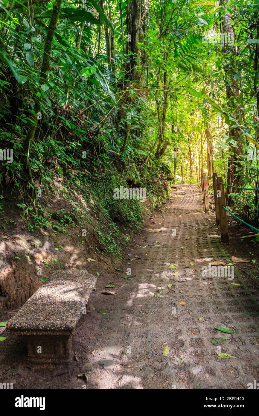 Walkpath in Arenal Hängebrücken Park in Costa Rica Stockfoto