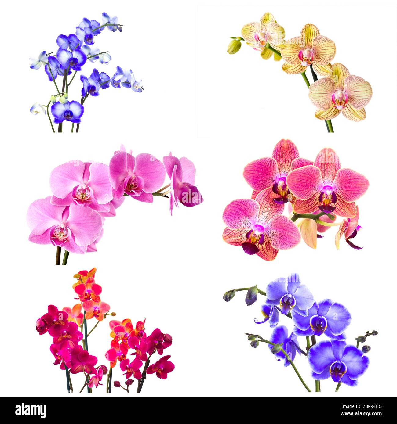 Ehrfurchtiges Badezimmer Ausstellung Abverkauf