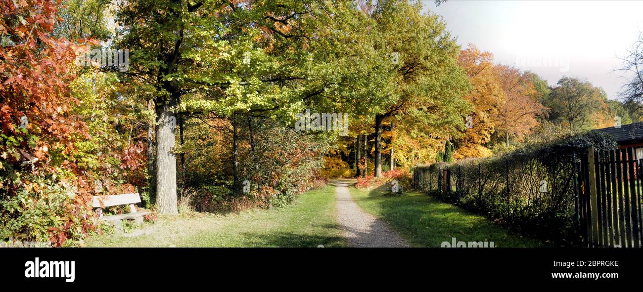 Eine Bank am Waldrand; sonniger Tag im Herbst, bunte Bäume und ein schmaler Weg; eine Bank am Waldrand; sonniger Herbsttag; bunter Baum Stockfoto