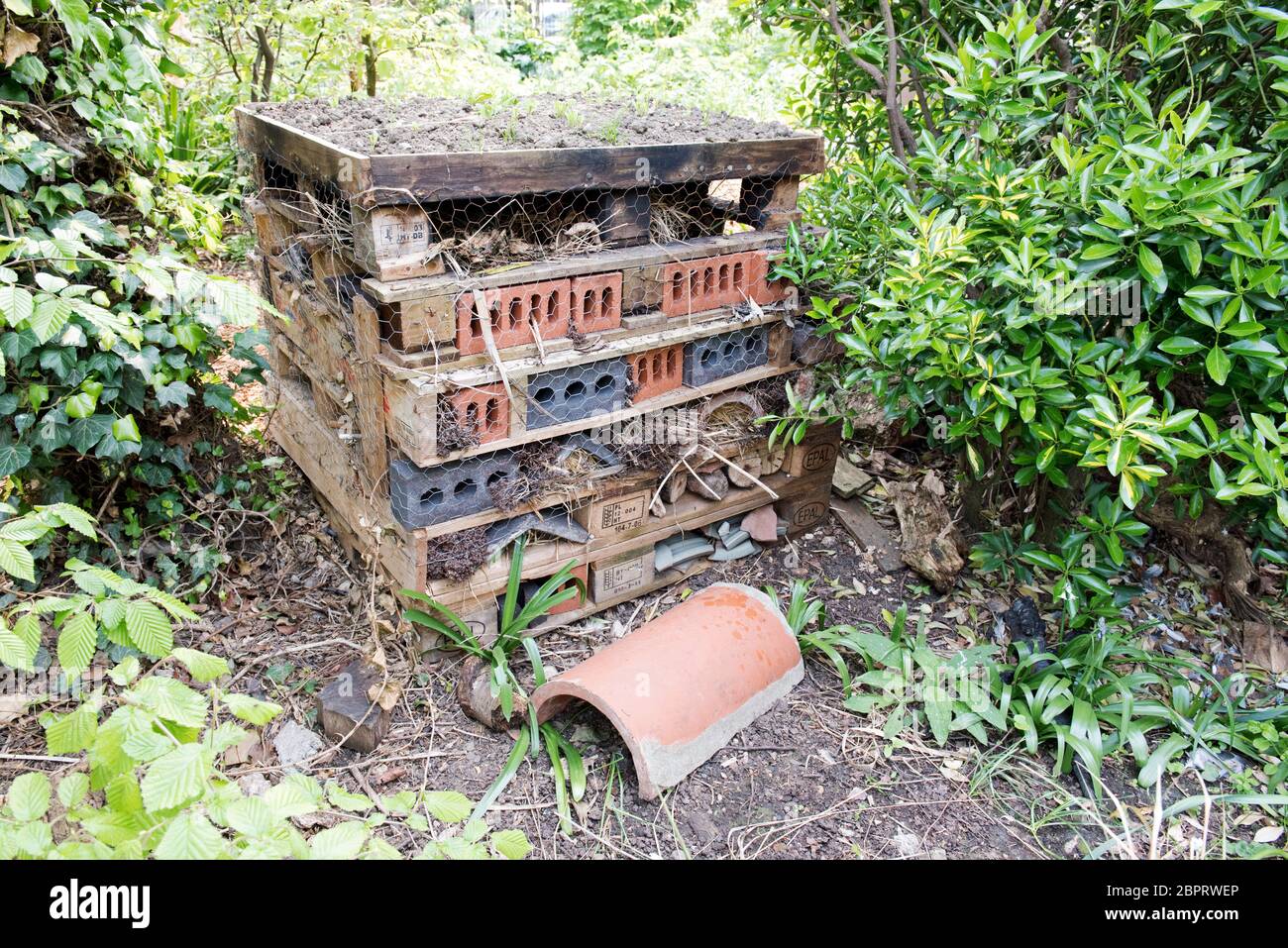 Bug House, Culpeper Community Garden, ein urbaner Garten im Londoner Stadtteil Islington, England, Großbritannien Stockfoto
