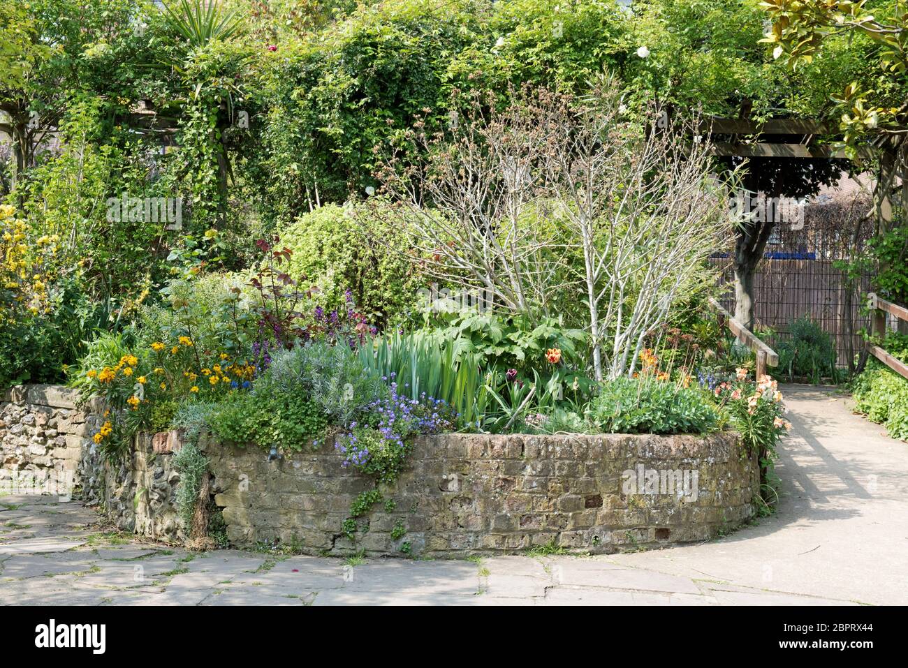 Hochbeet mit gebogenem Ziegelsteinfassungen, Culpeper Community Garden, ein urbaner Freiraum im Londoner Borough of Islington, England, Großbritannien Stockfoto