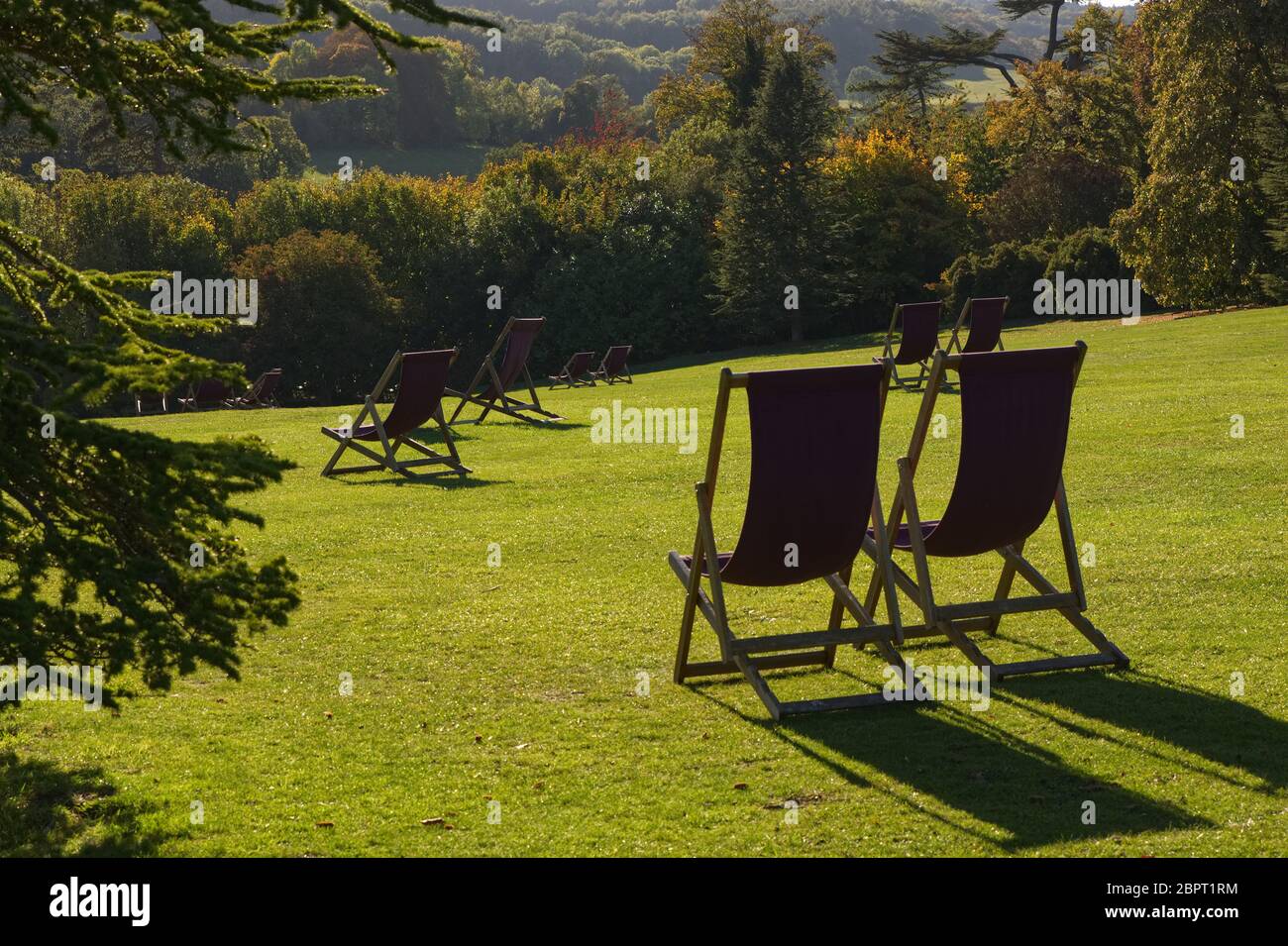 Menschen in Liegestühlen auf Rasen. Herbst. Surrey, England Stockfoto