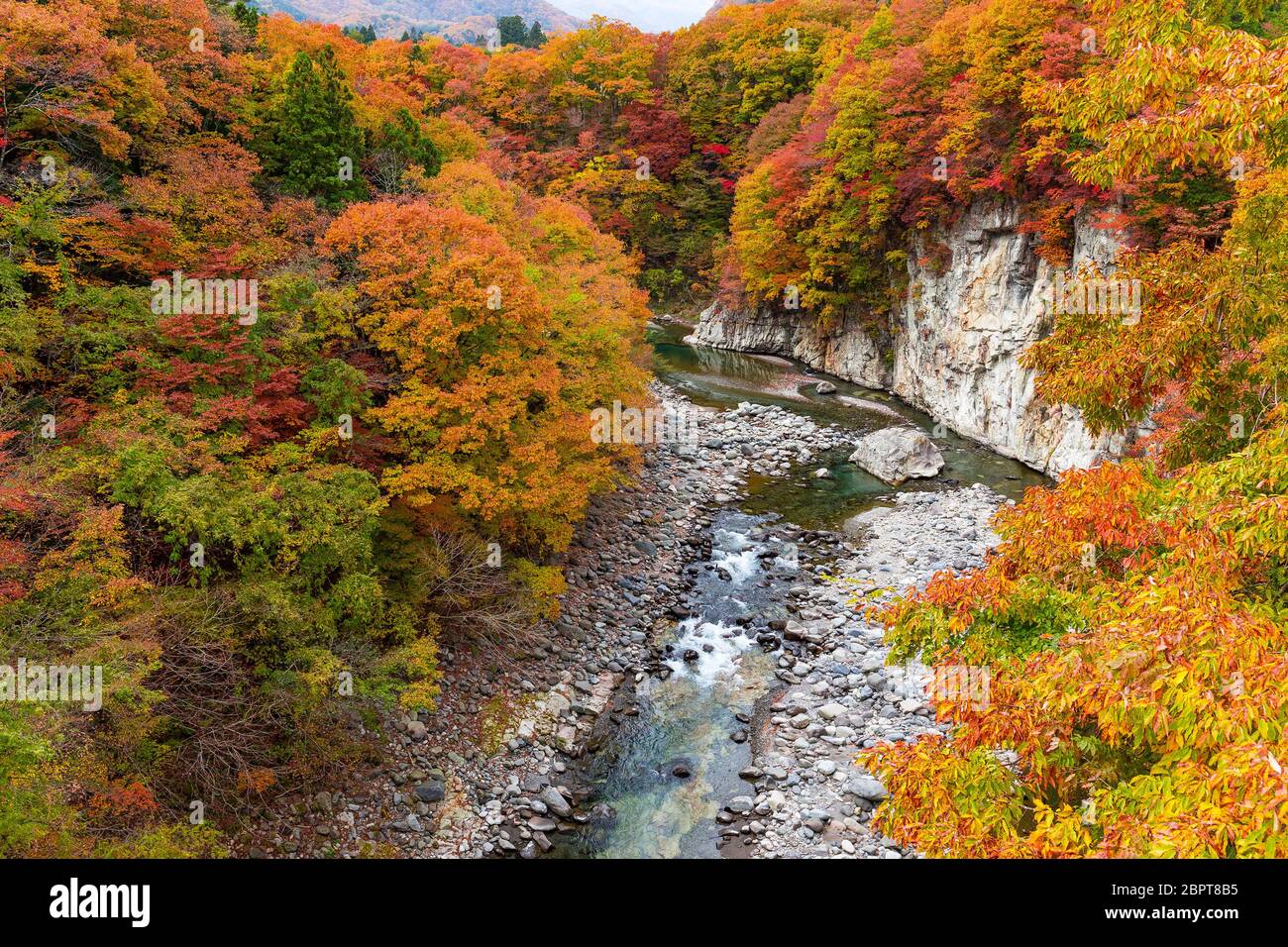 Kinugawa im Herbst Stockfoto