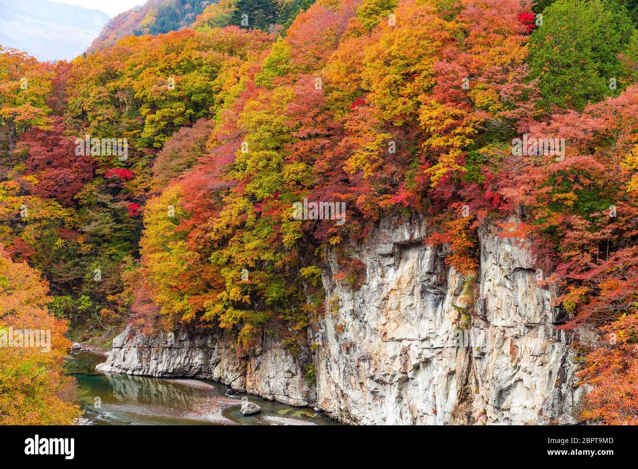 Schöner Herbstwald und Fluss in Japan Stockfoto