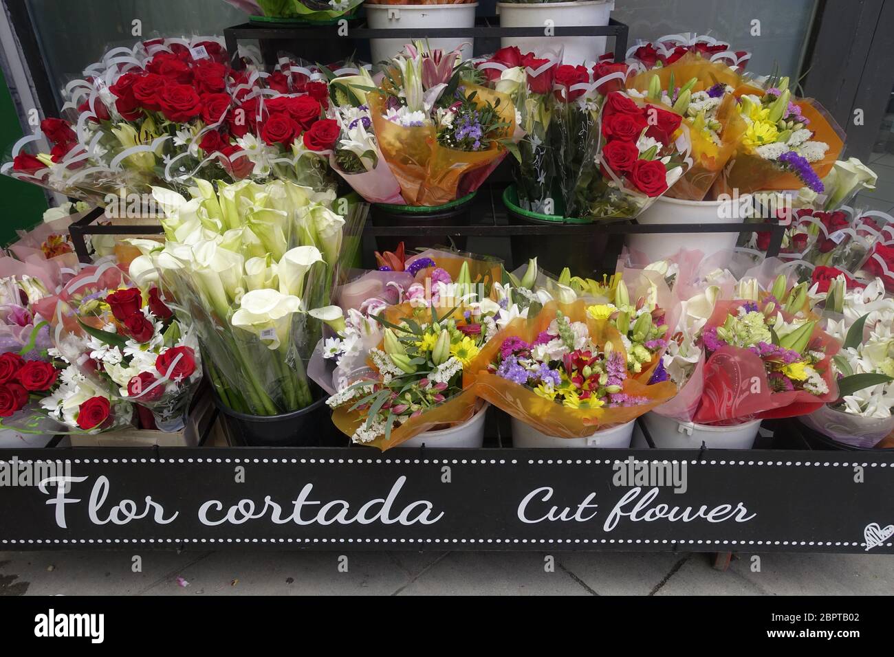 Schnittblumen zum Verkauf außerhalb Hypermarket in Torrevieja Spanien Stockfoto