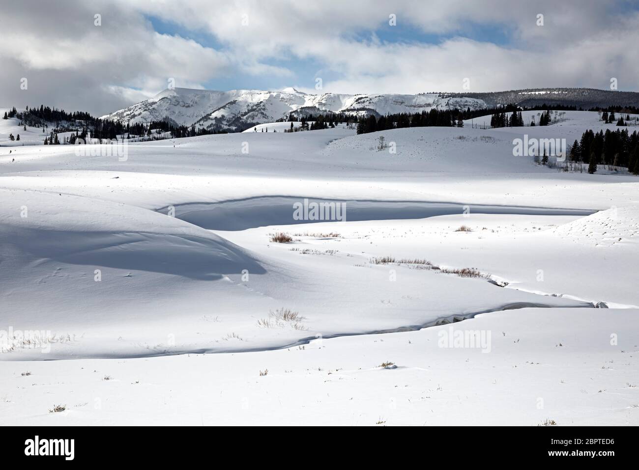 WY04483-00....WYOMING - Quadrant Mountain von der Snow Pass Ski Route entlang Glen Creek im Yellowstone Nationalpark. Stockfoto