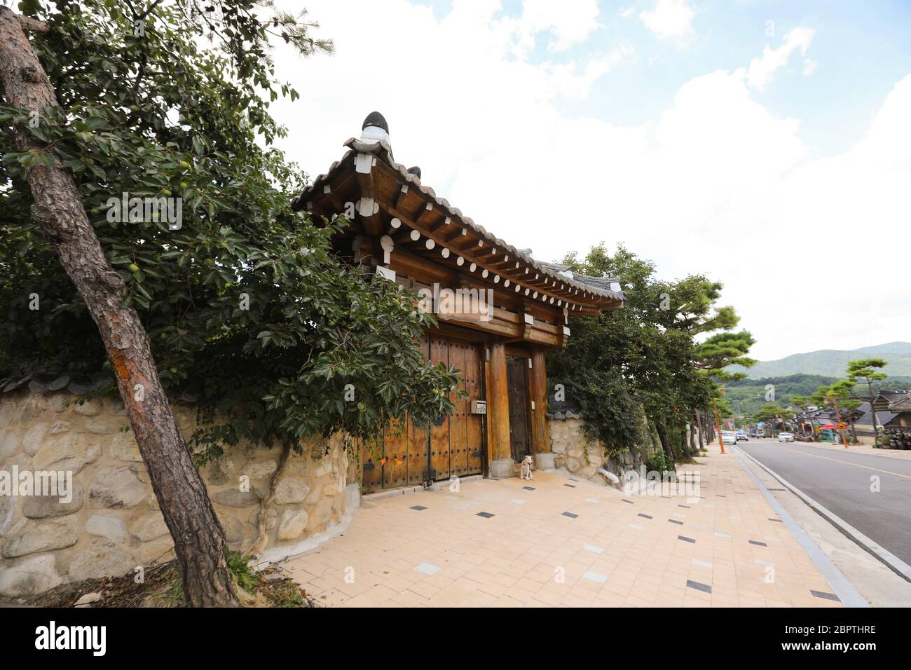 Koreanische traditionelle Haus und Welpen. Sun chang, Jeonbuk, Korea Stockfoto