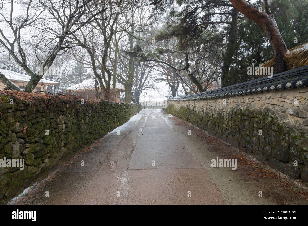 Koreanischer Winter, die Straße zwischen traditionellen schneebedeckten Dörfern und Steinmauern. Stockfoto