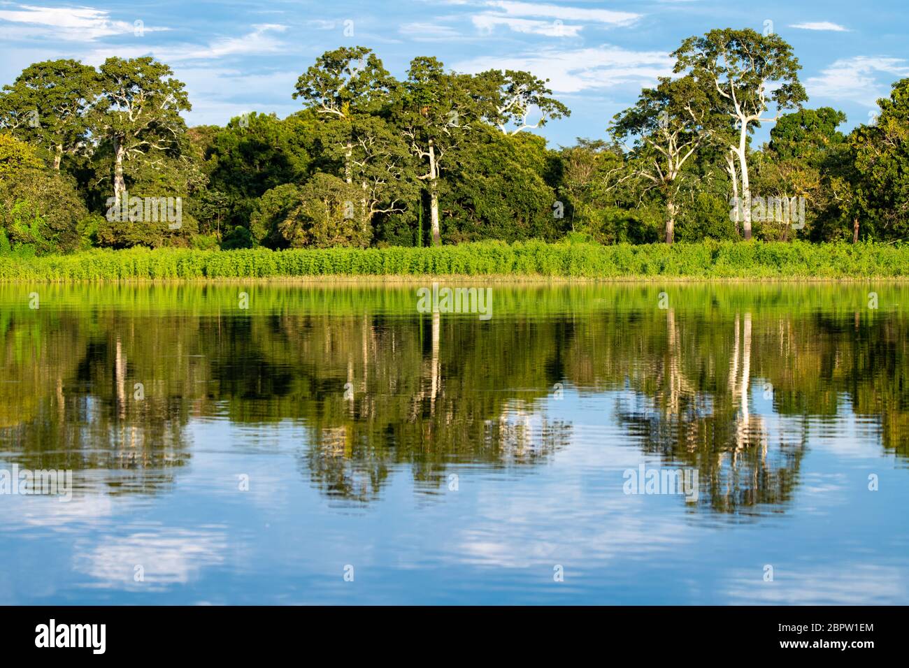 Peruanischer Amazonas-Fluss mit Reflexion im Wasser Stockfoto