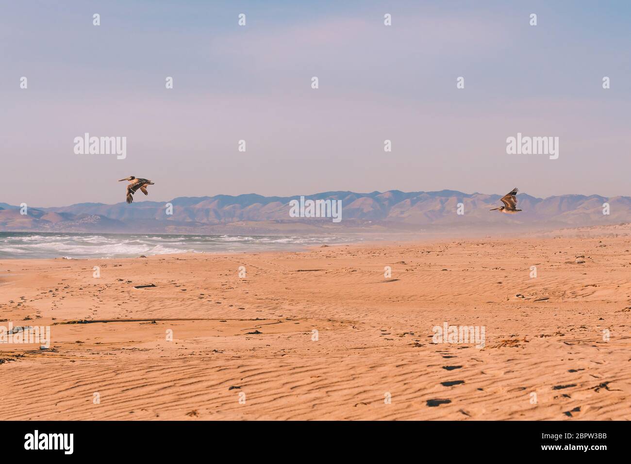 Sonnenuntergang am Strand und fliegende Pelikane. Wunderschöne Berge und Pazifik im Hintergrund, kalifornische Küste Stockfoto