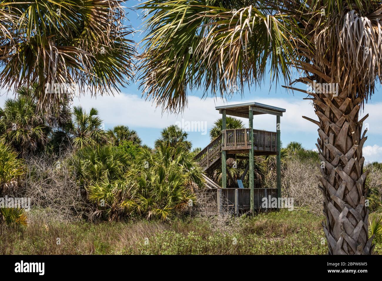 Hölzerner Aussichtsturm am Light House Point Park in Ponce Inlet, Florida. (USA) Stockfoto